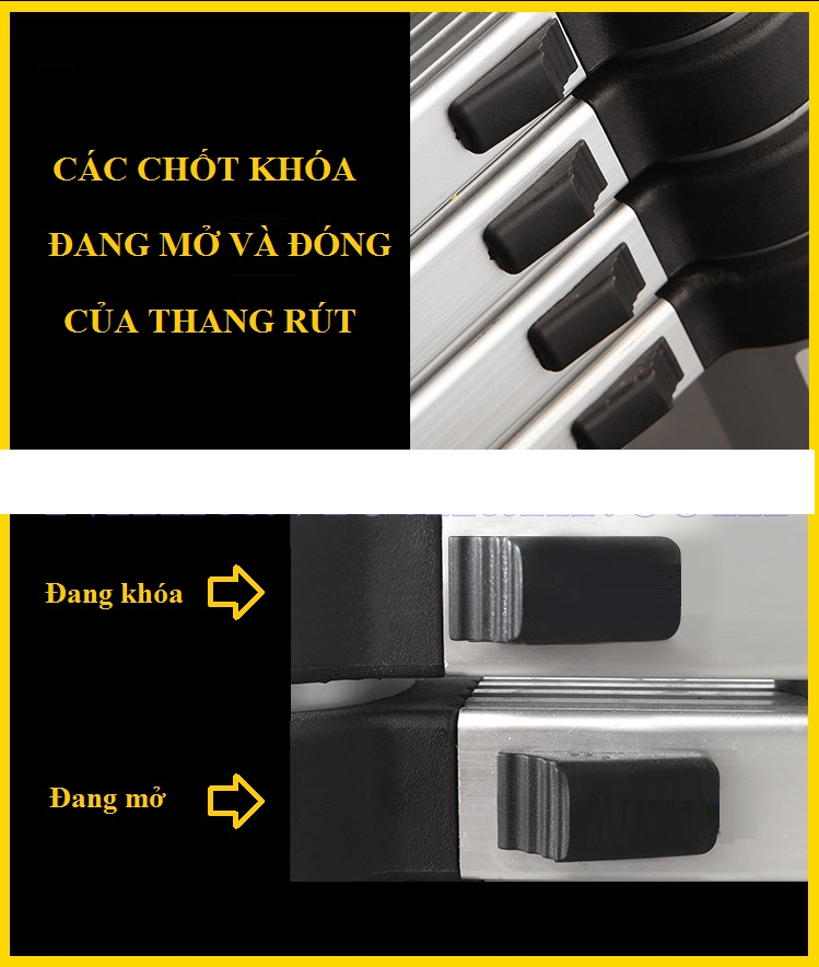 thang nhôm Nikita AI 56